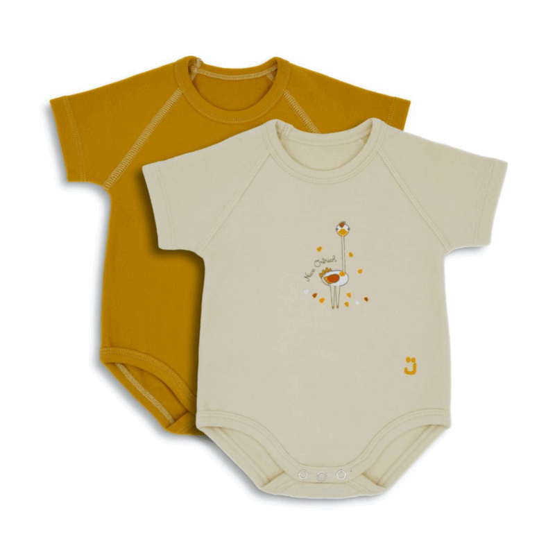 Body Extensible Set 2 Unidades