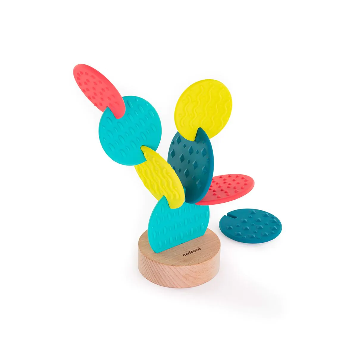 Cactus Sensorial